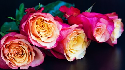 Fototapeta na wymiar Pink aroma roses on black