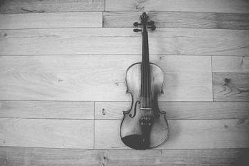 Violine