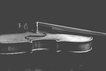 Violine