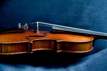 Naklejka na ściany i meble Violine