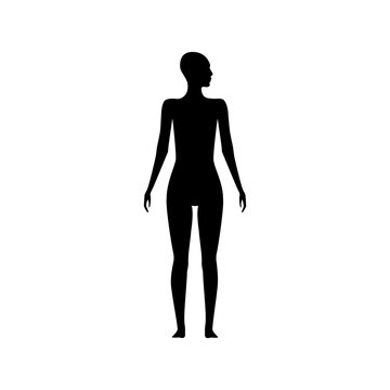 Front view human body silhouette of an adult female with a head turned to side