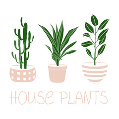 Green floral house plants illustration and lettring. Outline home flowers in pots in line art anf flat  style isolated on white background for greetig card, invintation print t-shirt