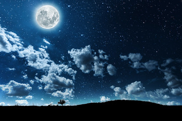 Fototapeta na wymiar Night sky above rocky mountains background
