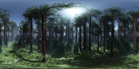 HDRI, environment map , Round panorama, spherical panorama, equidistant projection, panorama 360, Forest and swamp, 3d rendering