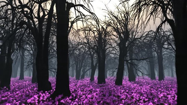Spring garden in the morning in the fog, trees without leaves on blooming land
