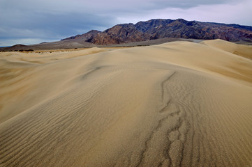 Fototapeta na wymiar Landscape of the Mesquite Flat Sand Dunes, Death Valley National Park, California, USA