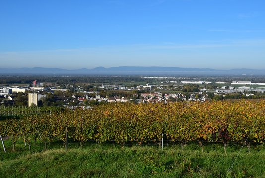 view from the Schutterlindenberg across the vineyards towards the West part of the city and industrial district in Lahr, Baden Germany