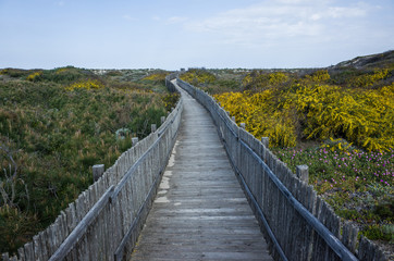 sentiero verso il mare