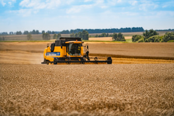 Combine harvester in action on the field. Combine harvester. Harvesting machine for harvesting a wheat field.