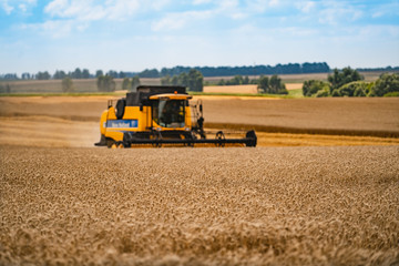 Combine harvester in action on the field. Combine harvester. Harvesting machine for harvesting a...