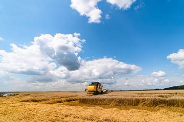 Obraz premium A yellow modern combine harvester working in a wheat field