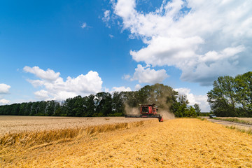 Combine harvester harvesting wheat on sunny summer day. Harvest time. Agricultural sector