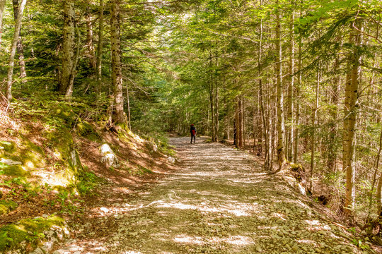 Randonneur dans le parc national du Vercors