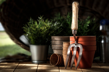 Garden tools and spring time.Free space for your decoration. 