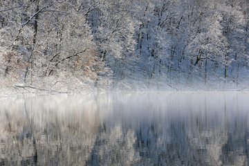 Snow flocked trees on the foggy shoreline of Hall Lake with mirrored reflections in calm water, Yankee Springs State Park, Michigan, USA