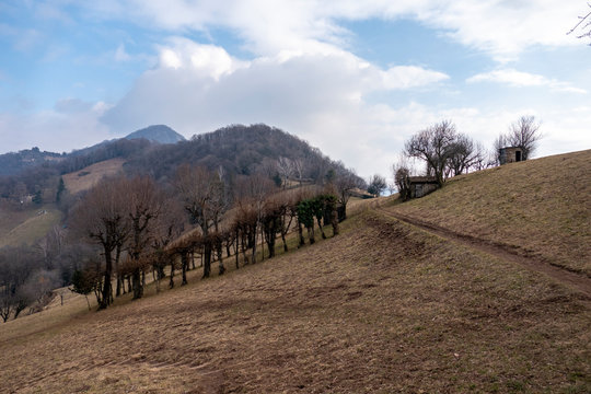 Prati Parini, Sedrina (Bergamo, Lombardia)