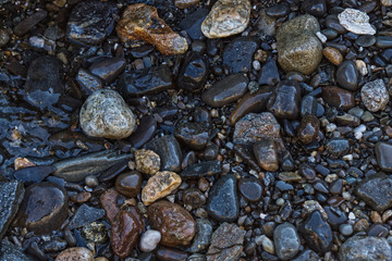 Rocks on the beach