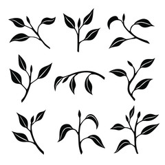 Set of silhouettes branches with leaves