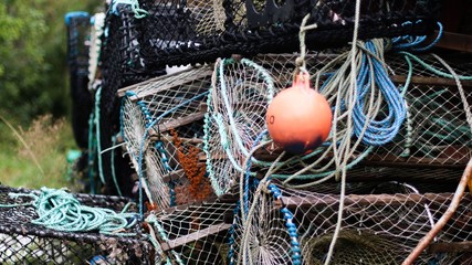 Scandinavian Fisher nets