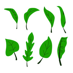 Vector illustration of green leaf graphic