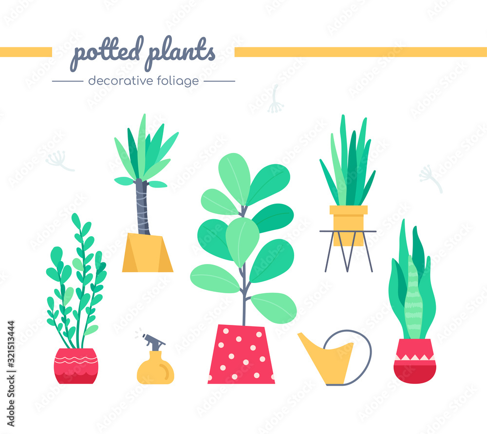 Poster decorative foliage collection - set of vector isolated elements
