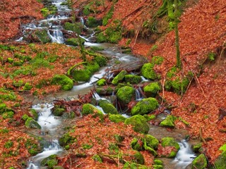 autumn
