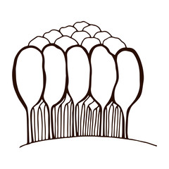 set of eucalyptus sprigs and trees. eucalyptus grove. leaves and buds on a twig. use for logos of cosmetics, medicines, aromamasla. exotic plant. Flat style, hand-drawn one line. isolate on a white