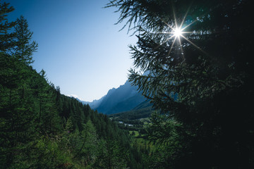 sun stars Val Ferret