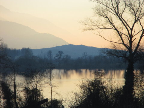 Lago con alberi e cespugli in primo piano e montagne in lontananza