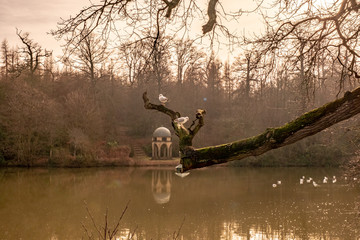 Walking around Surrey and West Sussex