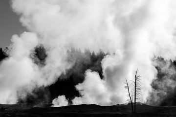 Fototapeta na wymiar Fog rising from the geysers in the morning, Yellowstone National Park