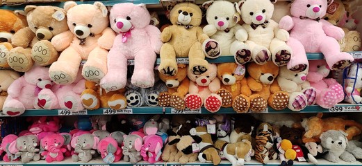 set of teddy in wadrobe 