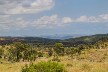 Fototapeta na wymiar Hills within the Magaliesberg Mountain range