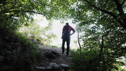 Figura si addentra in una foresta