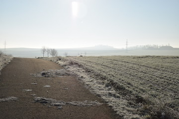Straße durch dichte Nebelbank
