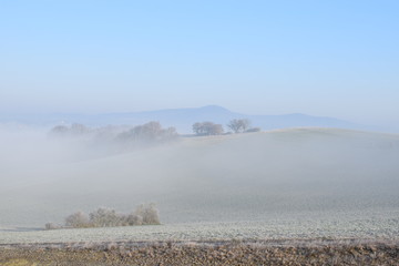 gefrorener Nebel über der Eifel
