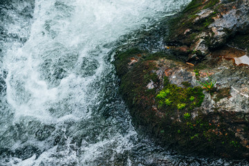 Big stones with moss and lichen in water riffle of mountain river. Powerful water stream of...