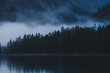 Silhouettes of pointy tree tops on hillside along mountain lake in dense fog. Reflex of pines to calm water of highland lake. Alpine tranquil landscape at early morning. Ghostly atmospheric scenery.