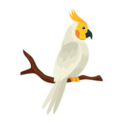 parrot bird in tree branch isolated icon vector illustration design