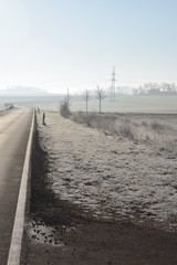 Straße durch dichte Nebelbank