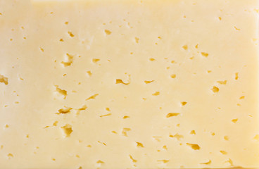 Cheese close-up. Background of cheese. Copy space