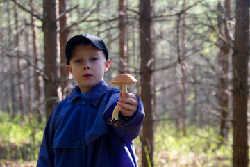 A boy found mushroom in the forest. Happy boy shows mushroom.