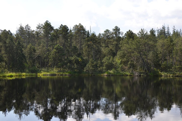 landscape with reflecting forest in the lake