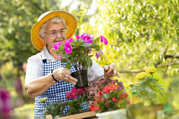 Happy grandmother gardening