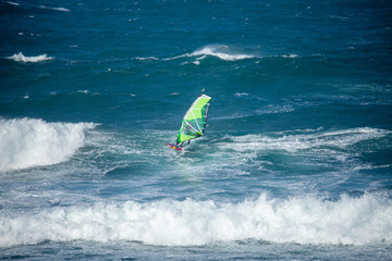 winsurfer amongst waves with strong mistral