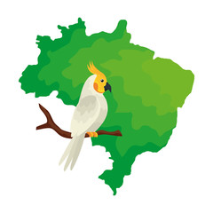 map of brazil with parrot bird isolated icon vector illustration design