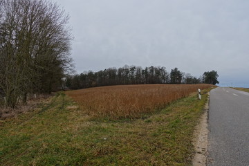Schöne Landschaft in Donau-Ries