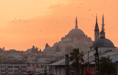 Fototapeta premium Cityscape of Istabul with silhoettes of ancient mosques and minarets. Panoramic view of the old city and flying seagulls on sunset background.