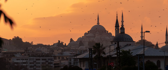Cityscape of Istabul with silhoettes of ancient mosques and minarets. Panoramic view of the old city and flying seagulls.