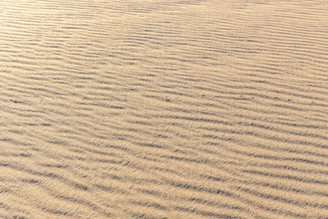 Sand Texture. Background from fine sand. Sand background. selective focus